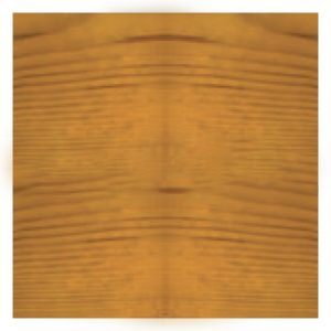 exterior transparent paint light oak