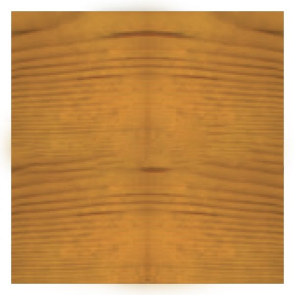 exterior transparent paint light oak
