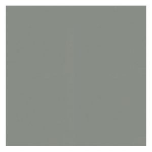 specialist de wayland grey