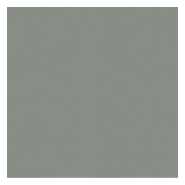 specialist de wayland grey