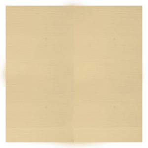 exterior transparent paint wentworth